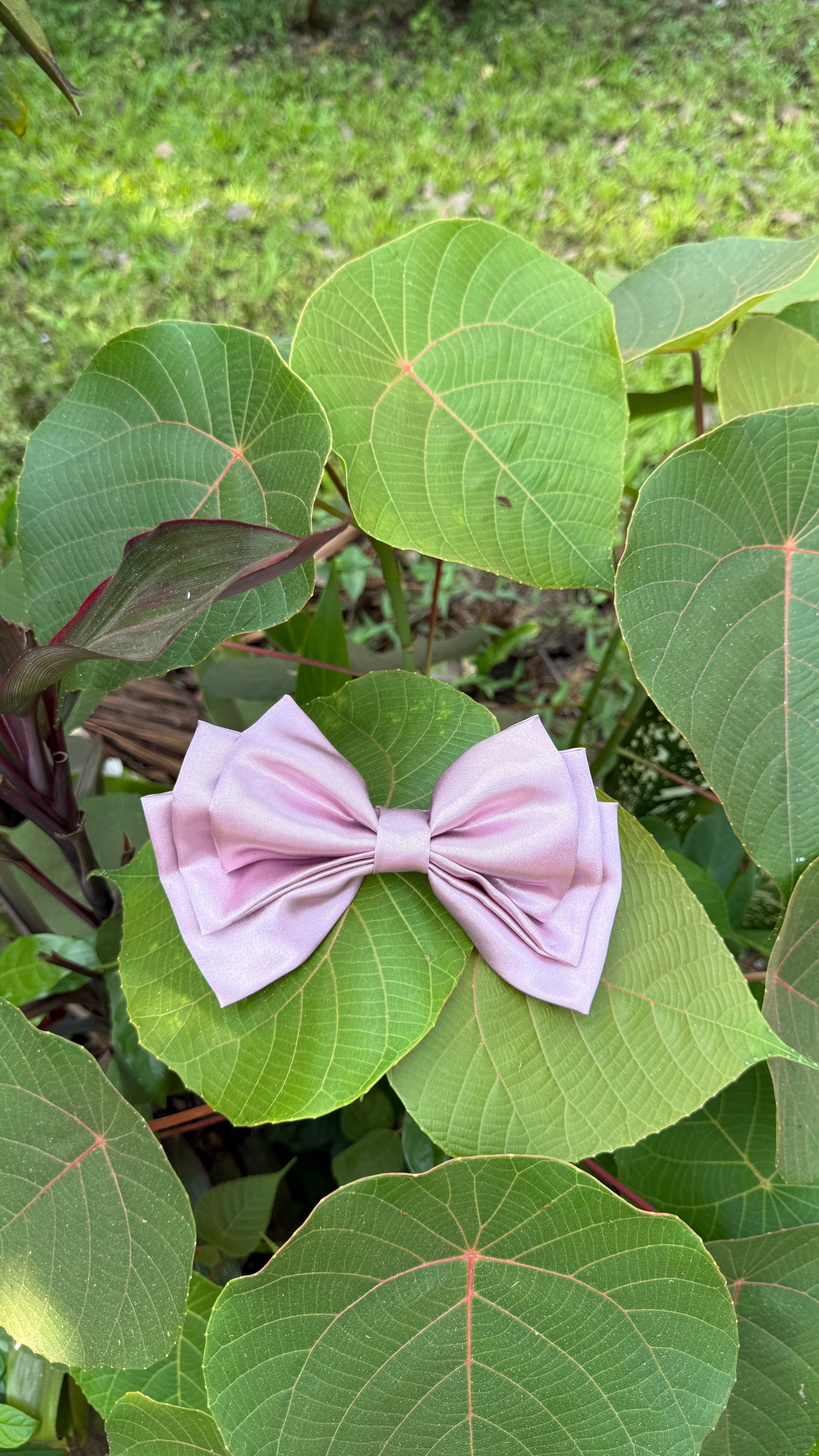 Triple layer Bow - L size