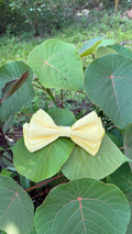 Triple layer bow - L size